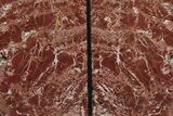 Tall, Arizona Petrified Wood Bookends - Brick Red #233253-2